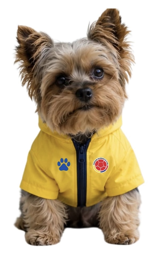 Jacket Amarillo Personalizada Para Perros Pequeños - Image 2